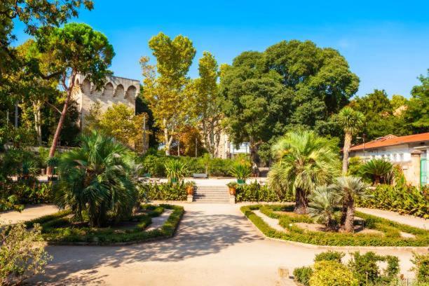 Le Studio De La Comedie, Montpellier, Hyper-Centre 아파트 외부 사진